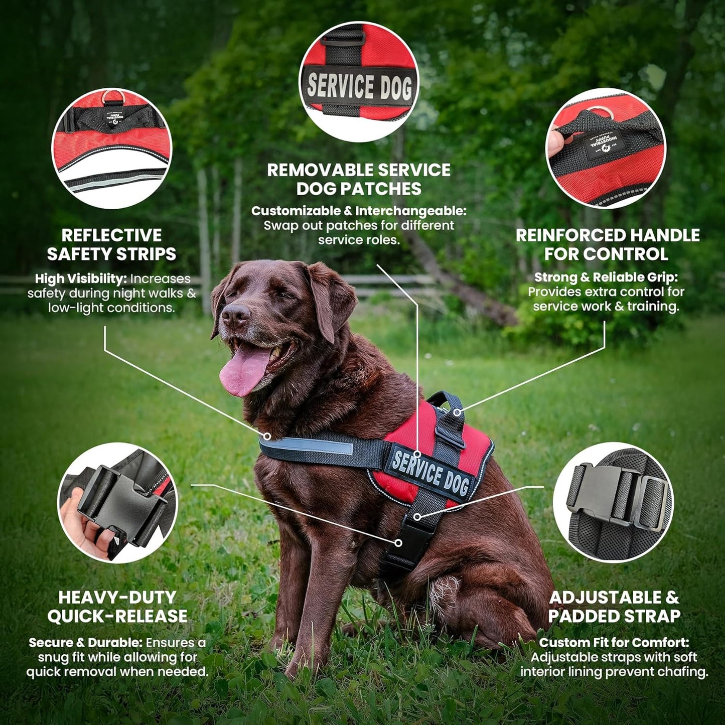 Premium Service Dog Vest Harness - Adjustable & Durable with Reflective Straps, Removable Patches, 50 ADA Cards, Handle & D-Ring for Travel & Daily Use (Bright Red, XL 30"-39")