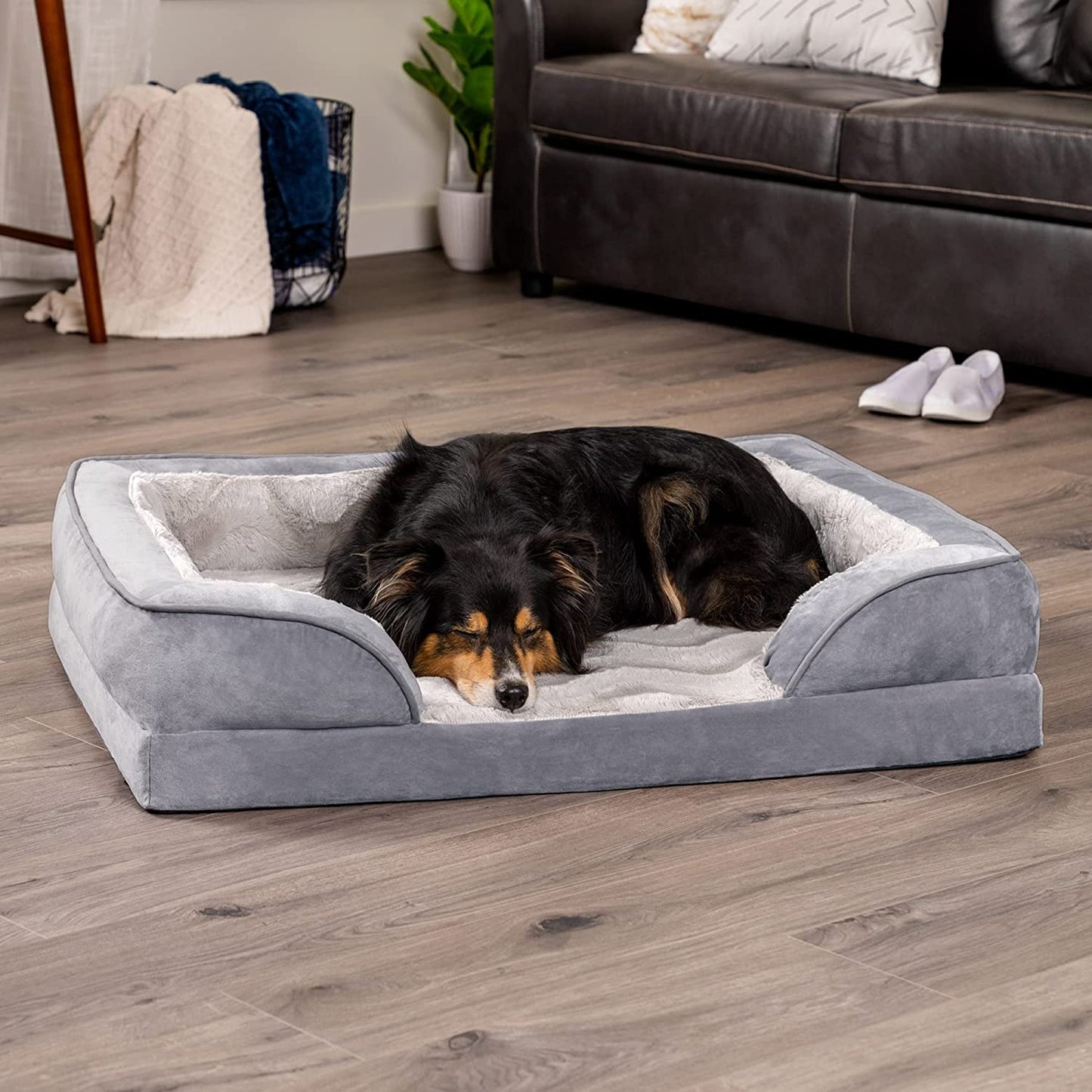 Luxurious Orthopedic Foam Dog Bed - Soft & Comfortable with Washable Velvet Cover - Perfect for Dogs up to 55 Lbs - Granite Gray