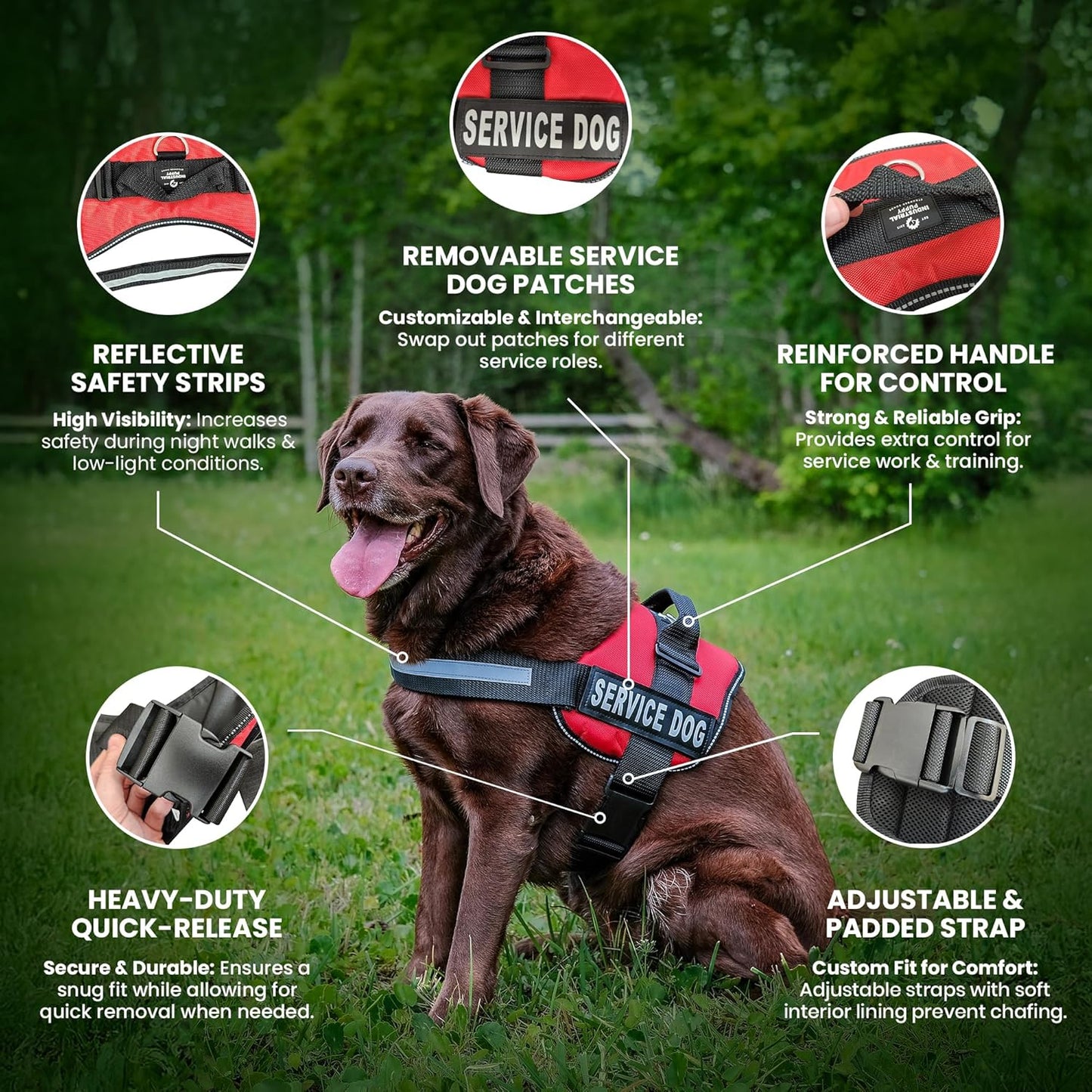 Emotional Support Vest Harness - Durable and Adjustable Dog Vest with Reflective Straps, Removable Patches, Handle & Leash Attachment, Travel and Daily Use, Large 27-33" - Pink