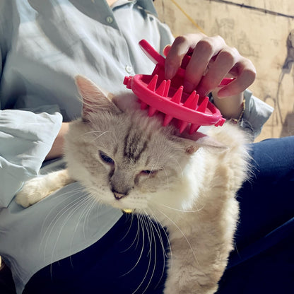 Cat Brush Shedding Grooming, Soft Massage Kitty Tongue Brush, Licking Your Kitty like a Mama Cat to Comfort, Surprise Pet Gifts