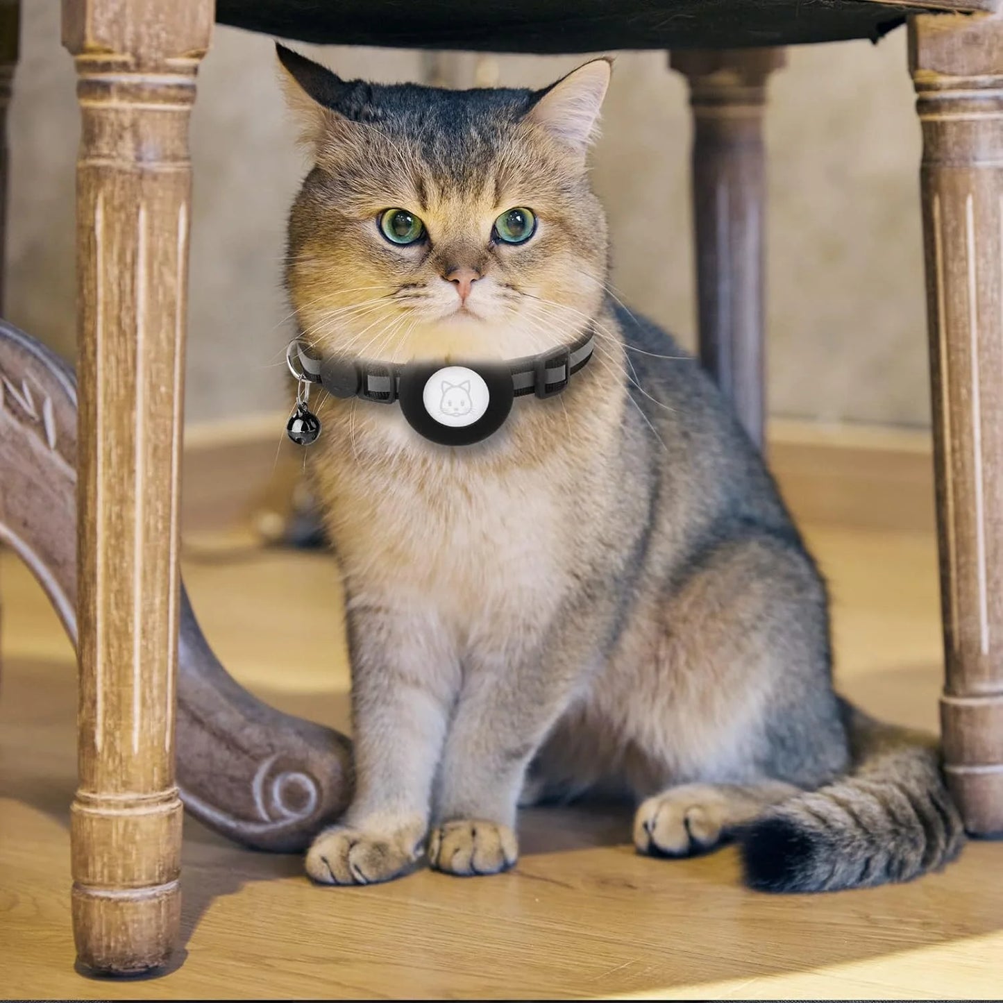 Breakaway Reflective Cat Collar with Airtag Case & Bell - 2 Pack for Cats, Kittens & Small Dogs - Black