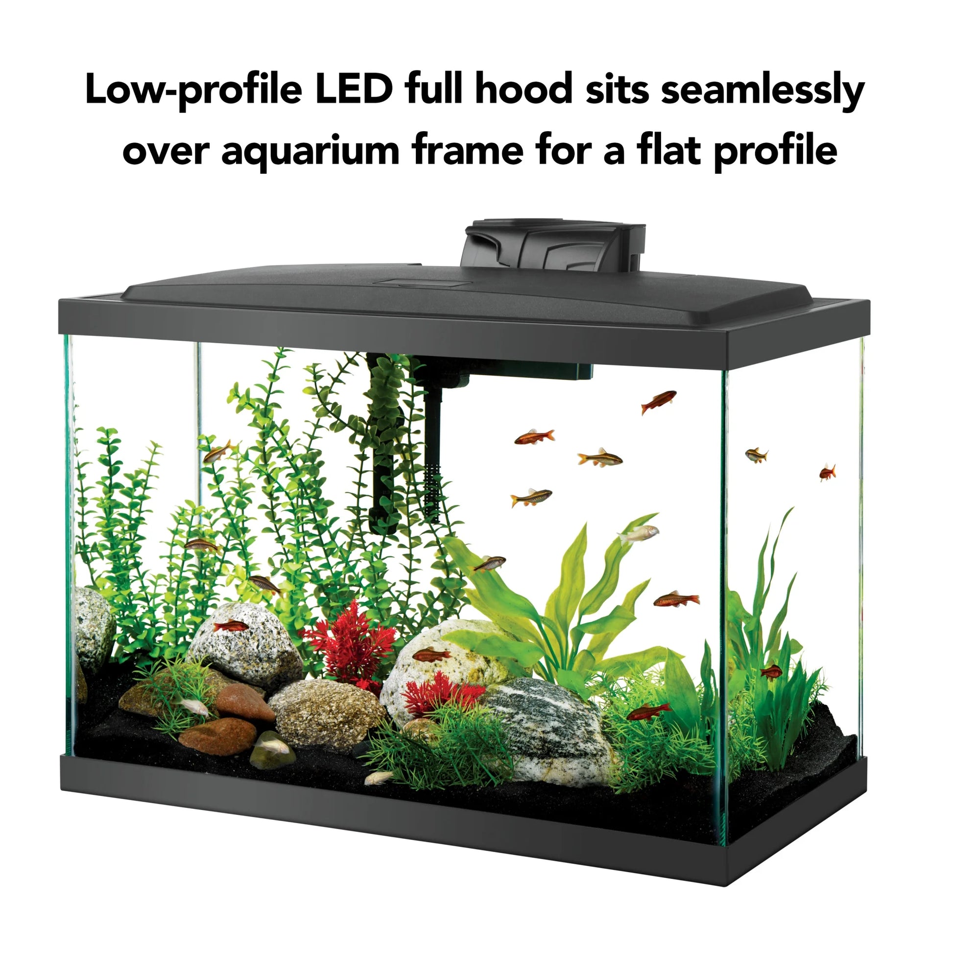 20-Gallon High Aquarium Fish Tank Starter Kit with LED Lighting - Everything You Need to Begin Your Aquatic Adventure!