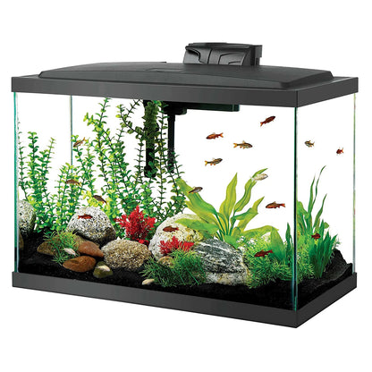 20-Gallon High Aquarium Fish Tank Starter Kit with LED Lighting - Everything You Need to Begin Your Aquatic Adventure!