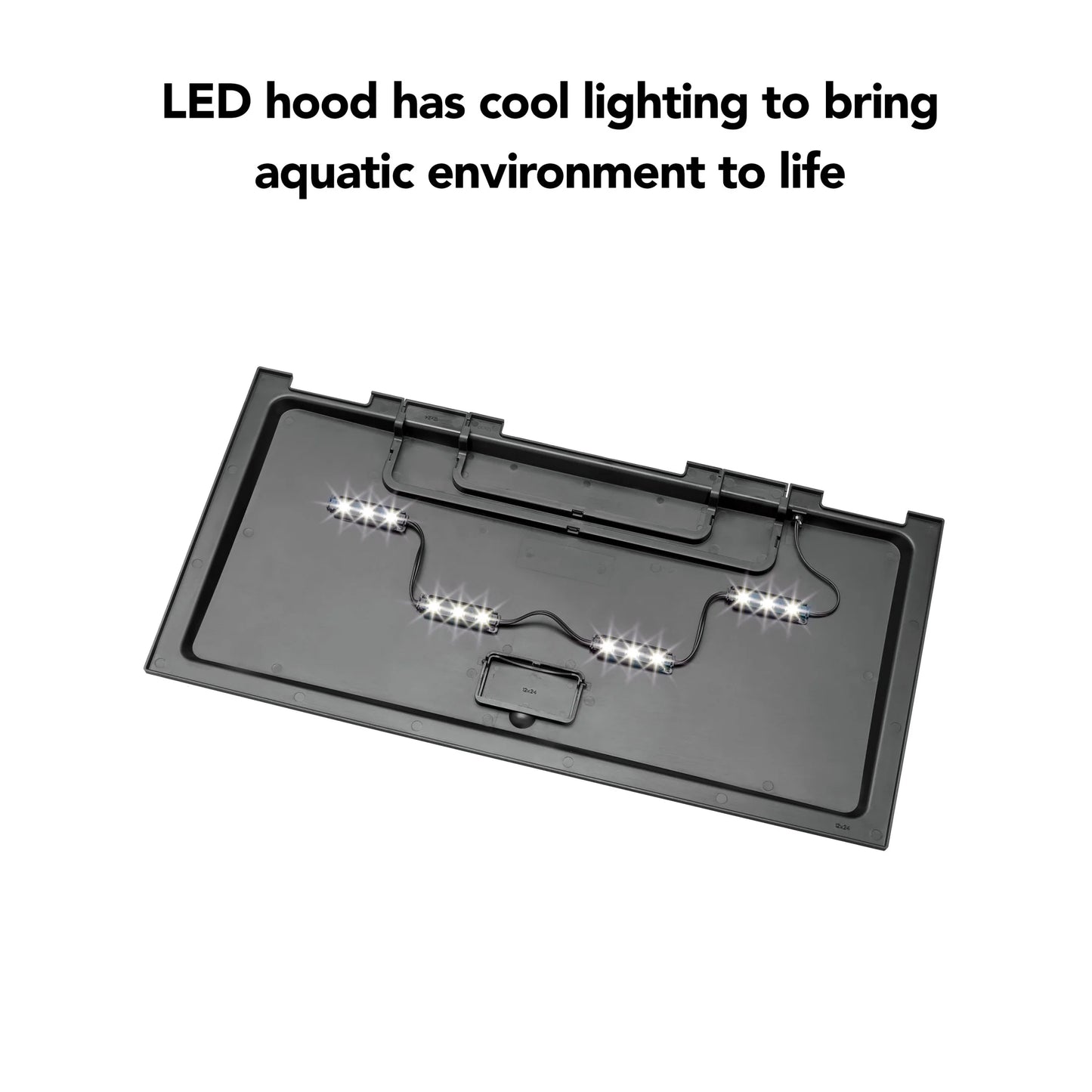 20-Gallon High Aquarium Fish Tank Starter Kit with LED Lighting - Everything You Need to Begin Your Aquatic Adventure!