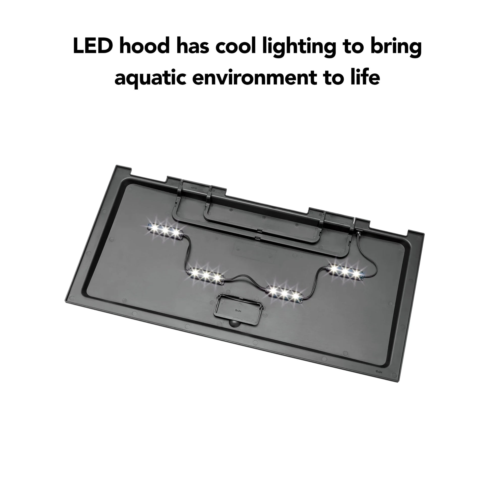 20-Gallon High Aquarium Fish Tank Starter Kit with LED Lighting - Everything You Need to Begin Your Aquatic Adventure!