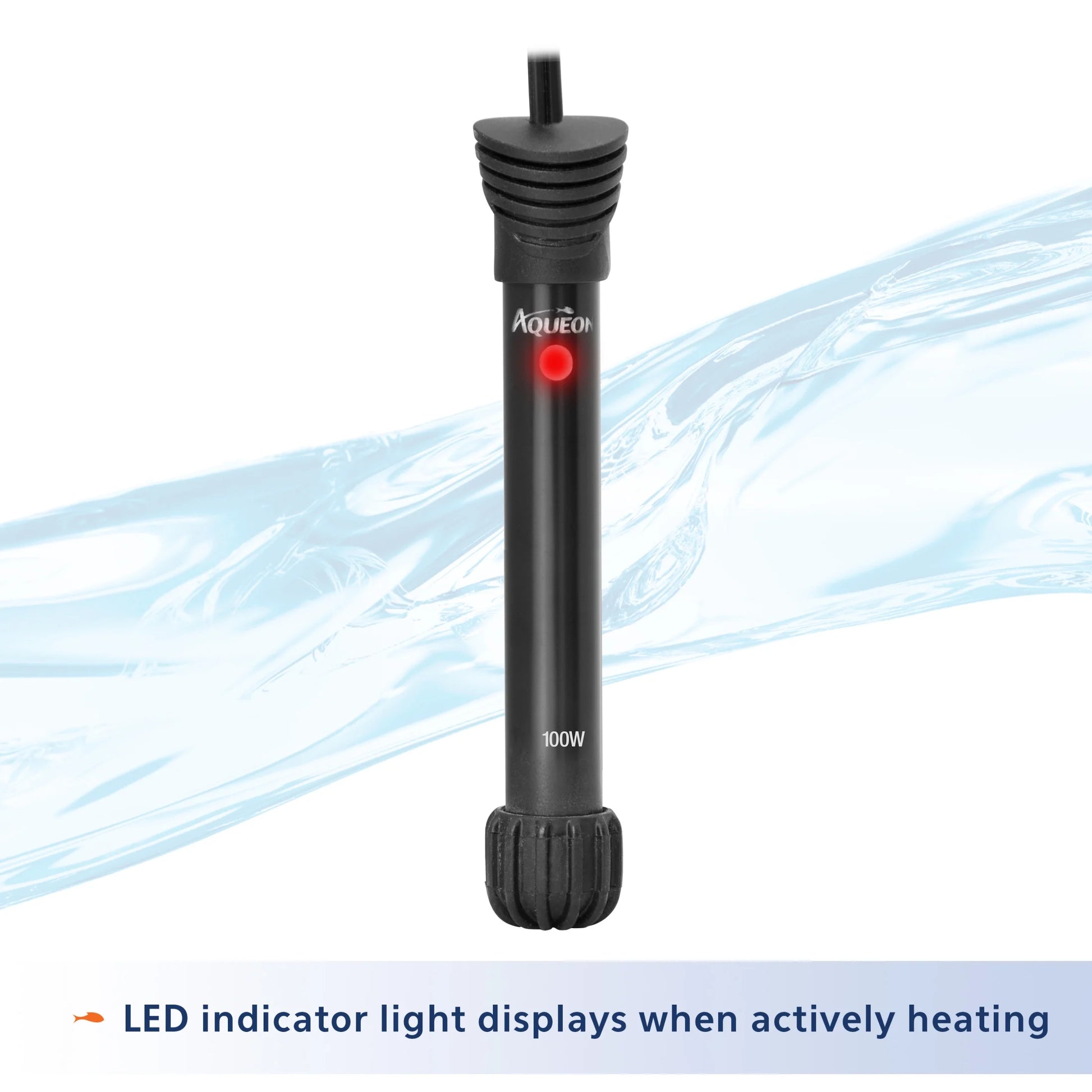 20-Gallon High Aquarium Fish Tank Starter Kit with LED Lighting - Everything You Need to Begin Your Aquatic Adventure!
