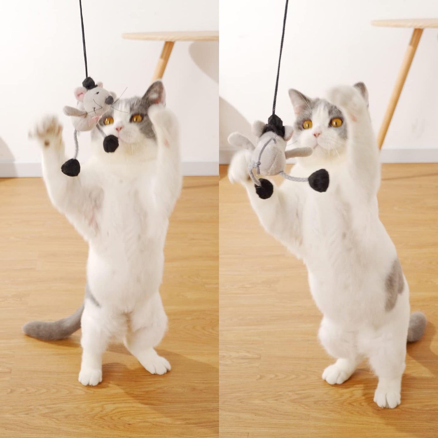 Interactive Cat Wand Toy with Cute Mouse - Engaging Indoor Play for Kittens and Cats, Reduces Boredom and Promotes Active Fun!