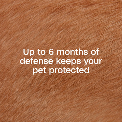 Flea & Tick Collar Plus for Dogs & Puppies - 12 Months Protection, Kills Fleas & Ticks, Repels Mosquitoes, One Size Fits All, 2 Count