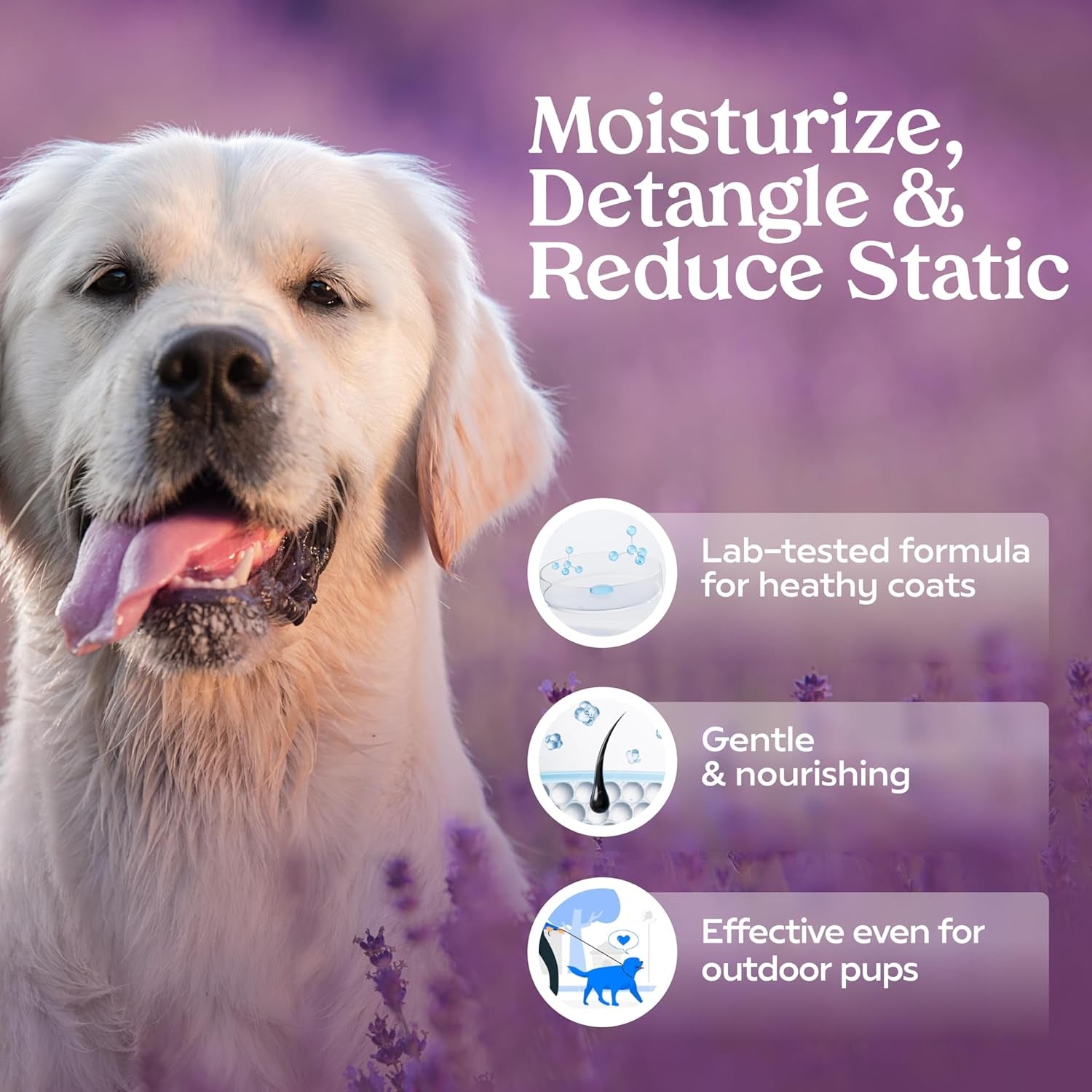 PAWFUME Royal Lavender Dog Detangler Grooming Spray – Hypoallergenic & Moisturizing for Salon-Quality Coat Care, 1-Pack