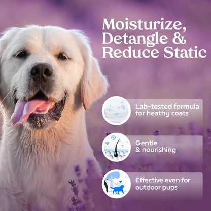 PAWFUME Royal Lavender Dog Detangler Grooming Spray – Hypoallergenic & Moisturizing for Salon-Quality Coat Care, 1-Pack