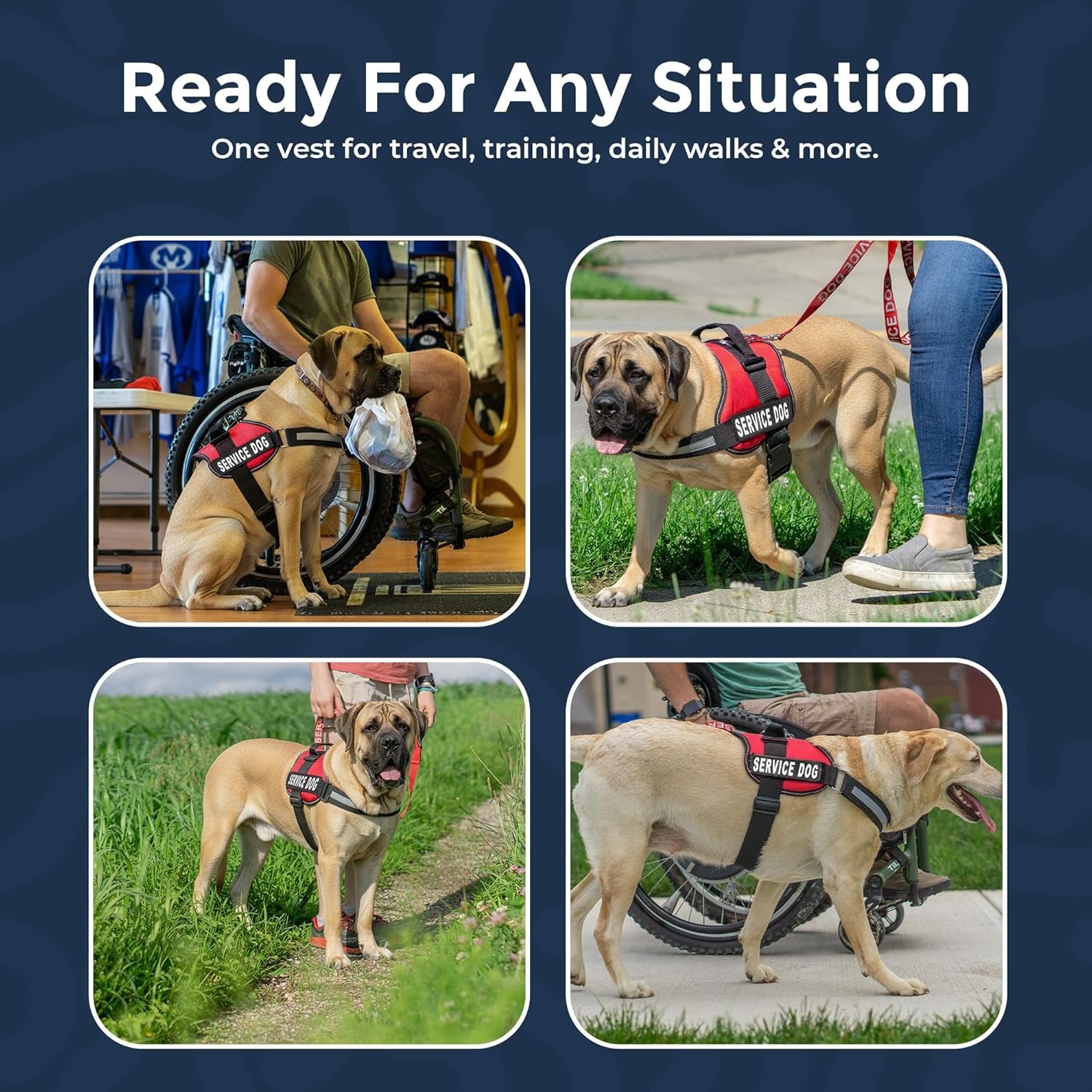 Premium Service Dog Vest Harness - Adjustable & Durable with Reflective Straps, Removable Patches, 50 ADA Cards, Handle & D-Ring for Travel & Daily Use (Bright Red, XL 30"-39")