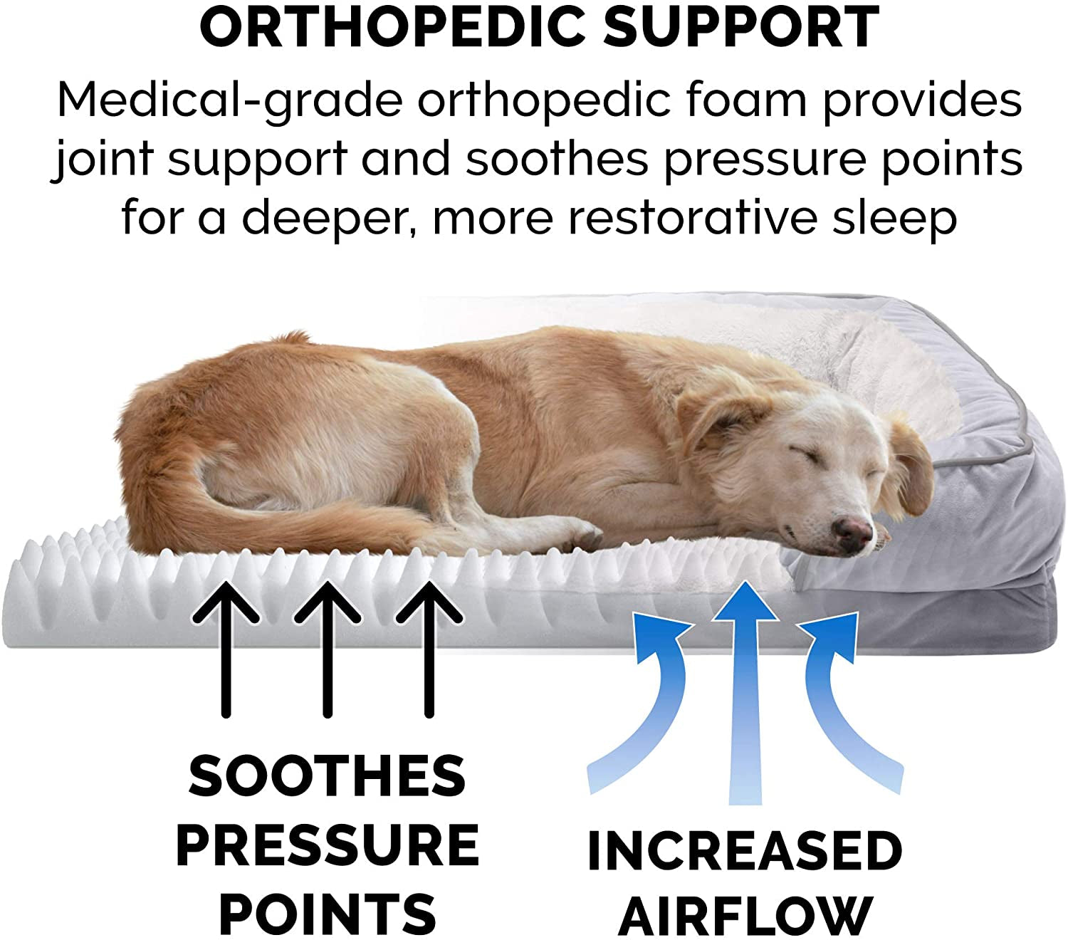 Luxurious Orthopedic Foam Dog Bed - Soft & Comfortable with Washable Velvet Cover - Perfect for Dogs up to 55 Lbs - Granite Gray