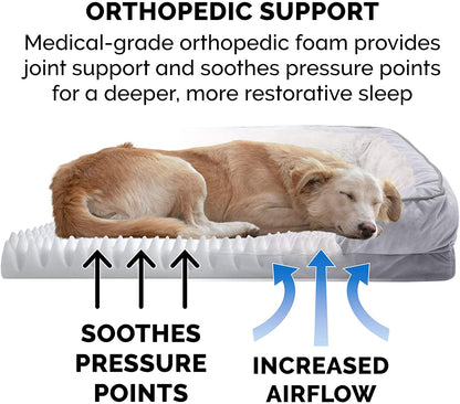 Luxurious Orthopedic Foam Dog Bed - Soft & Comfortable with Washable Velvet Cover - Perfect for Dogs up to 55 Lbs - Granite Gray